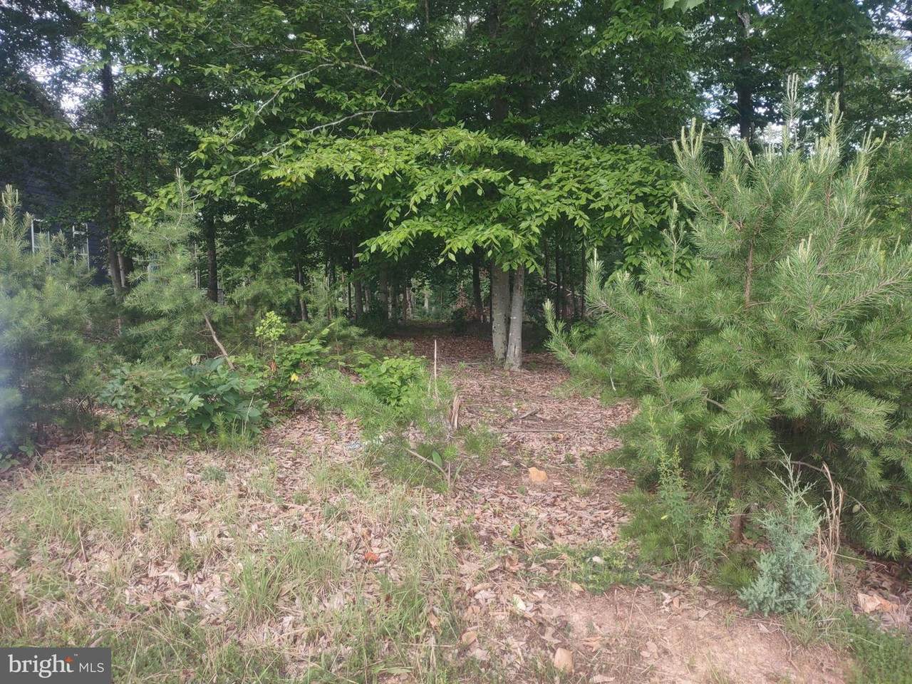 Lot 43 Sunset Loop - Photo 1