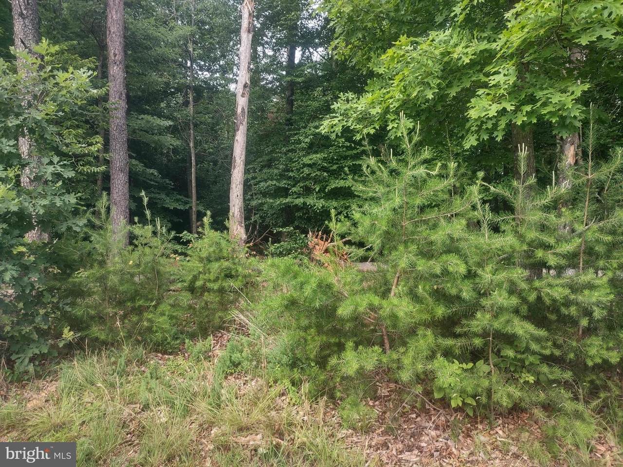 Lot 40 Sunset Loop - Photo 1