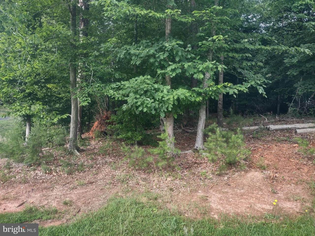 Lot 39 Sunset Loop - Photo 1