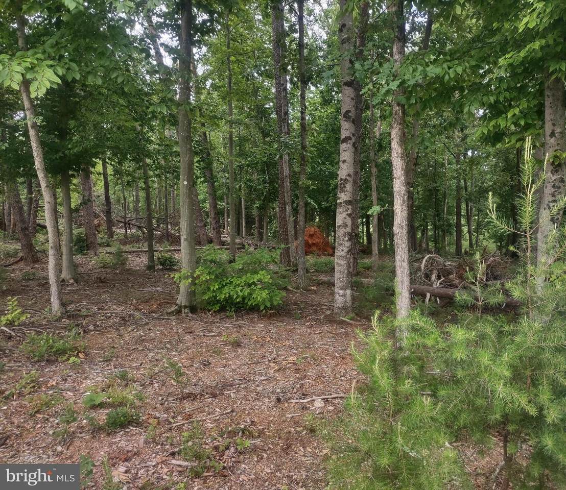 Lot 46 Sunset Loop - Photo 1