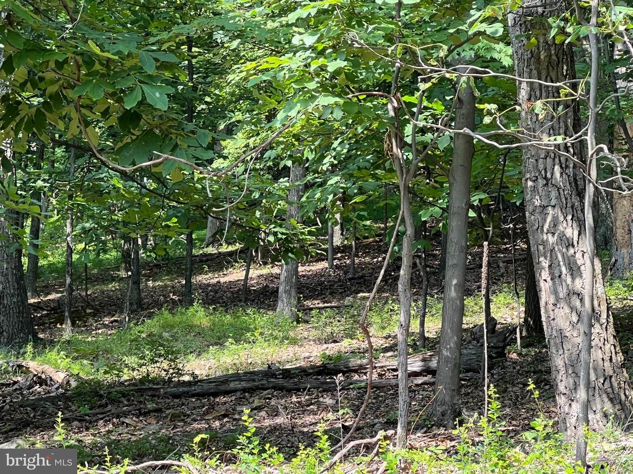 1855 Ridge Road - Photo 1