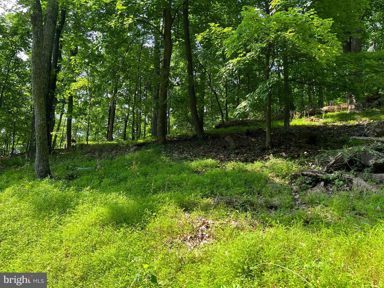 1879 Ridge Road - Photo 1