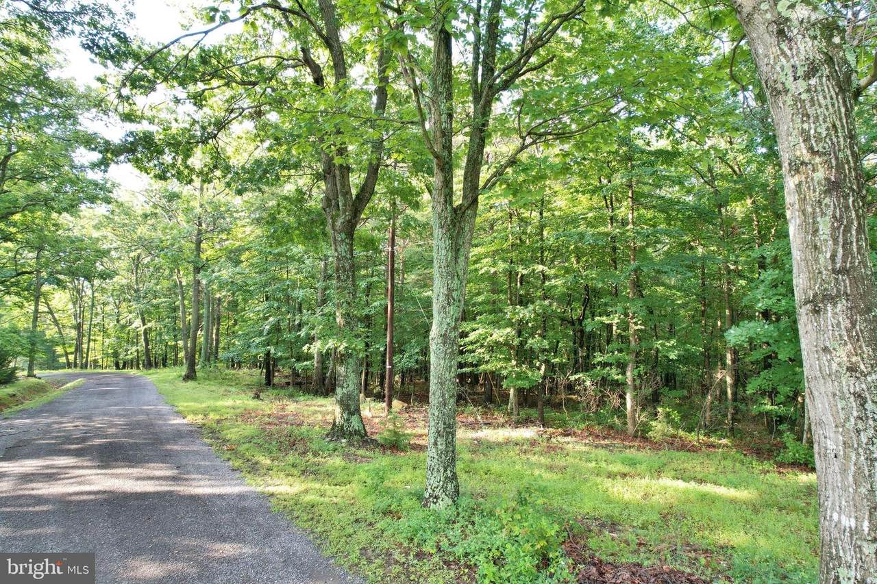 0 Panorama View Drive - Photo 1