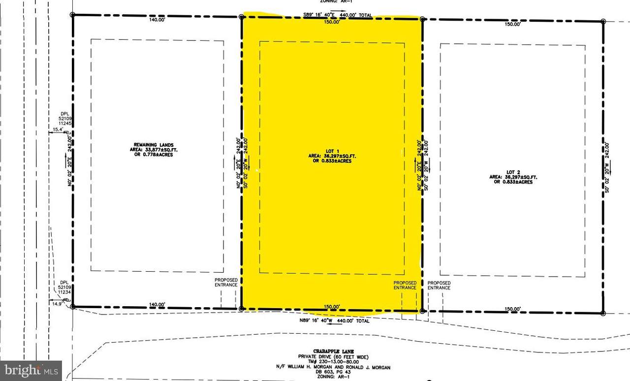 LOT 1 Crabapple Lane - Photo 1
