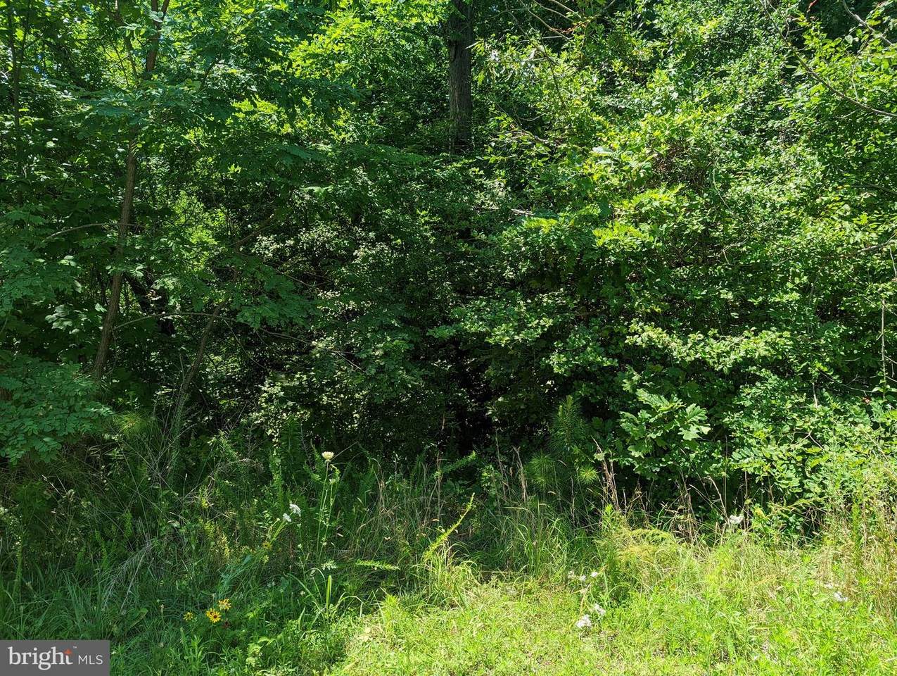 4025 Turkey Foot - Photo 1
