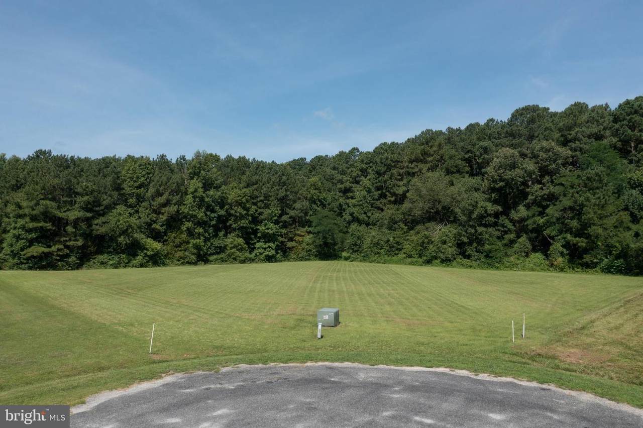 0 Levelgreen Drive - Photo 1