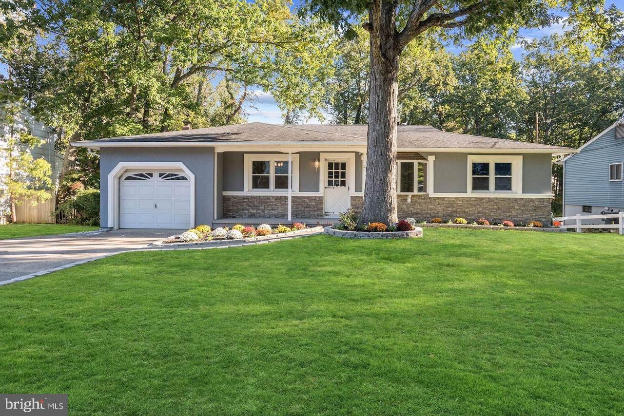 19 Silver Birch - Photo 1