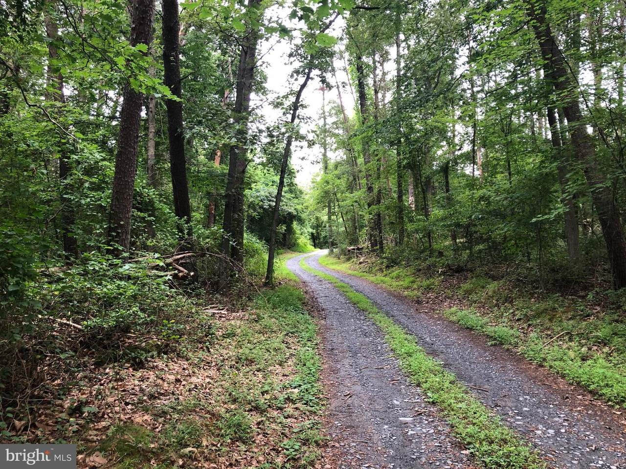 86 Cornish Lane - Photo 1