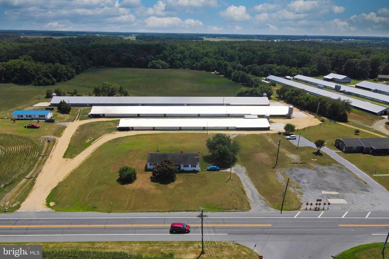 12358 Laurel Road - Photo 1