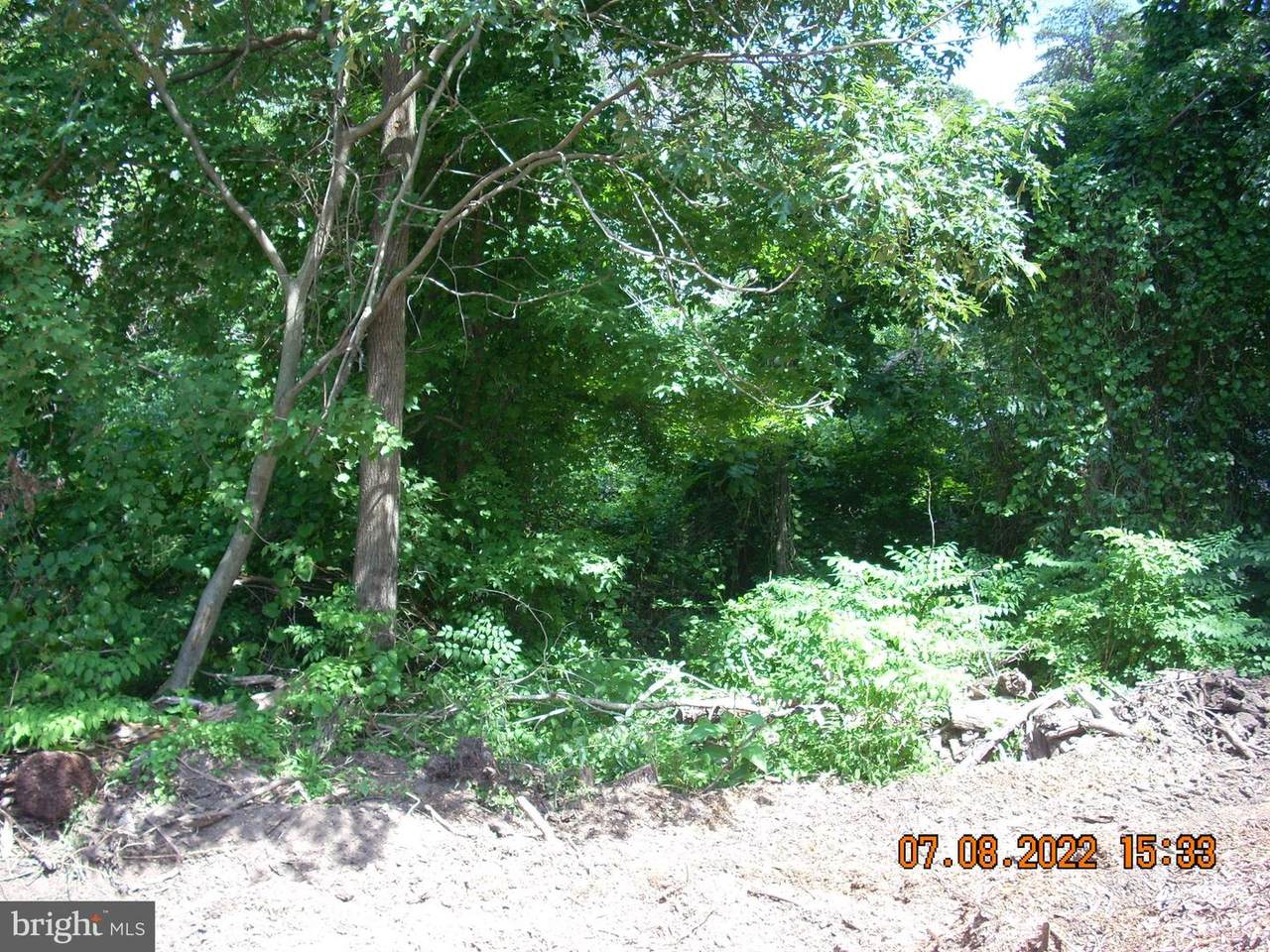 Bertram Avenue - Photo 1