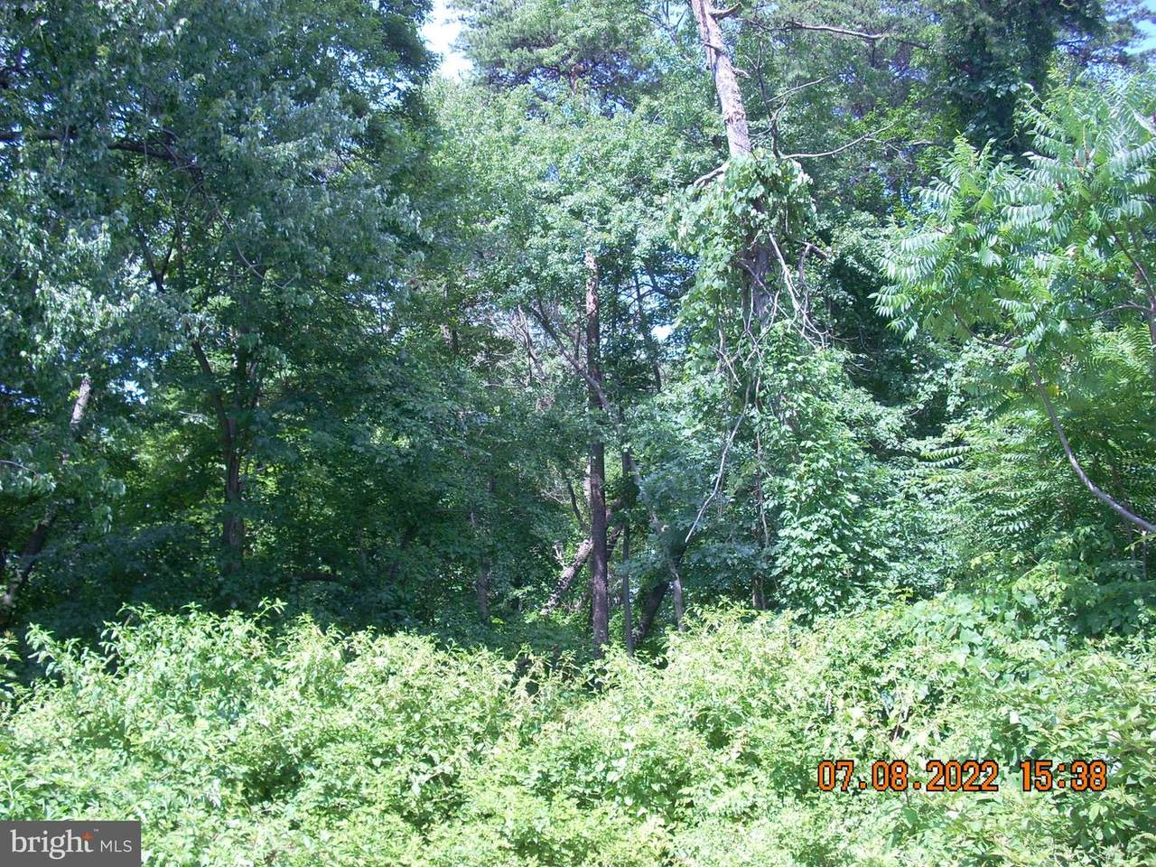 Bertram Avenue - Photo 1