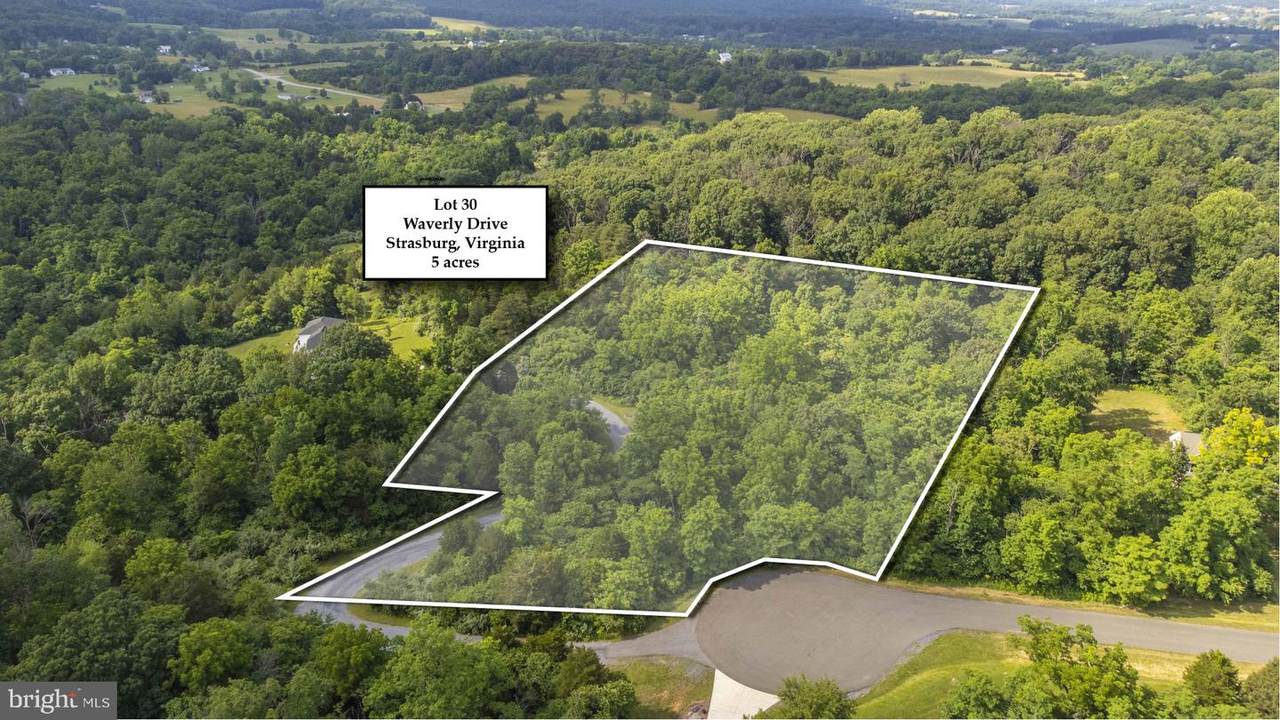 Lot #30 Waverly Drive - Photo 1