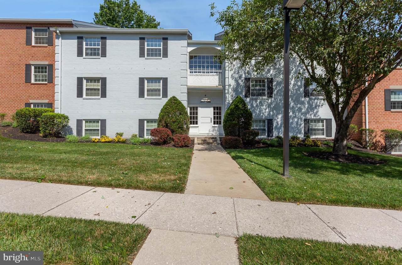 4 Elphin Court - Photo 1