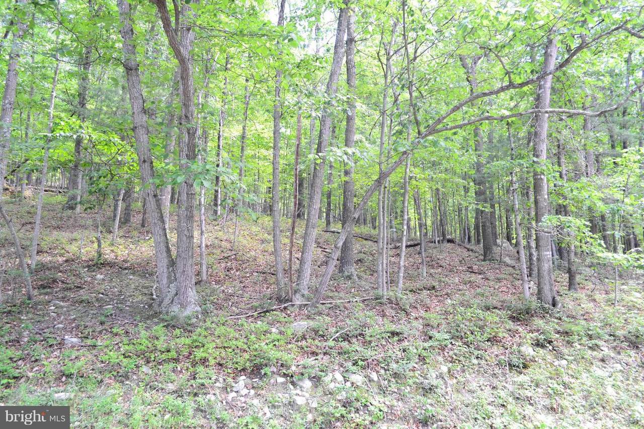 Route 55 - Photo 1
