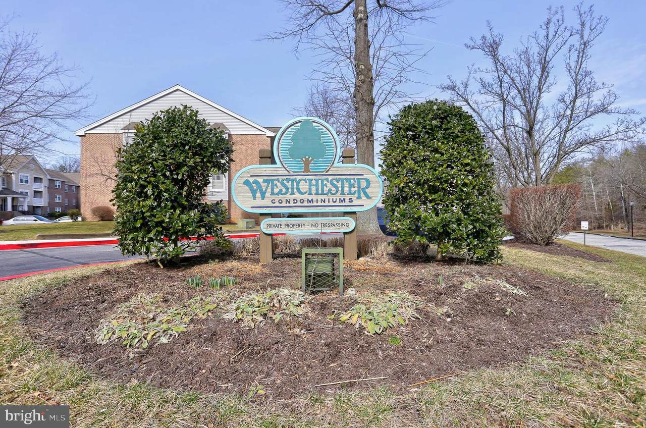 3 Rumford Drive - Photo 1