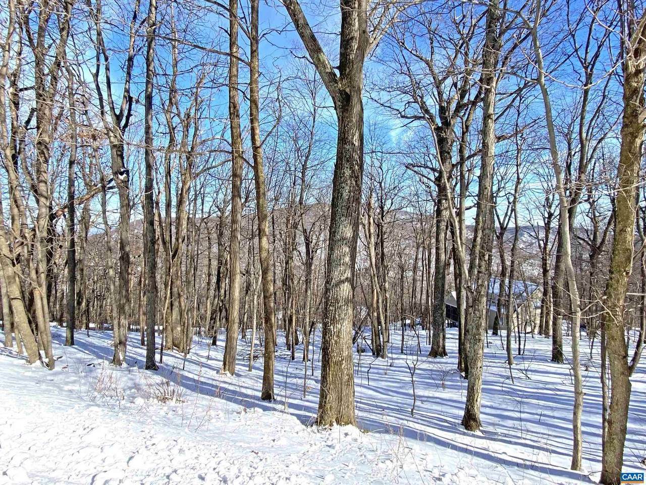 671 Shamokin Springs Trl - Photo 1