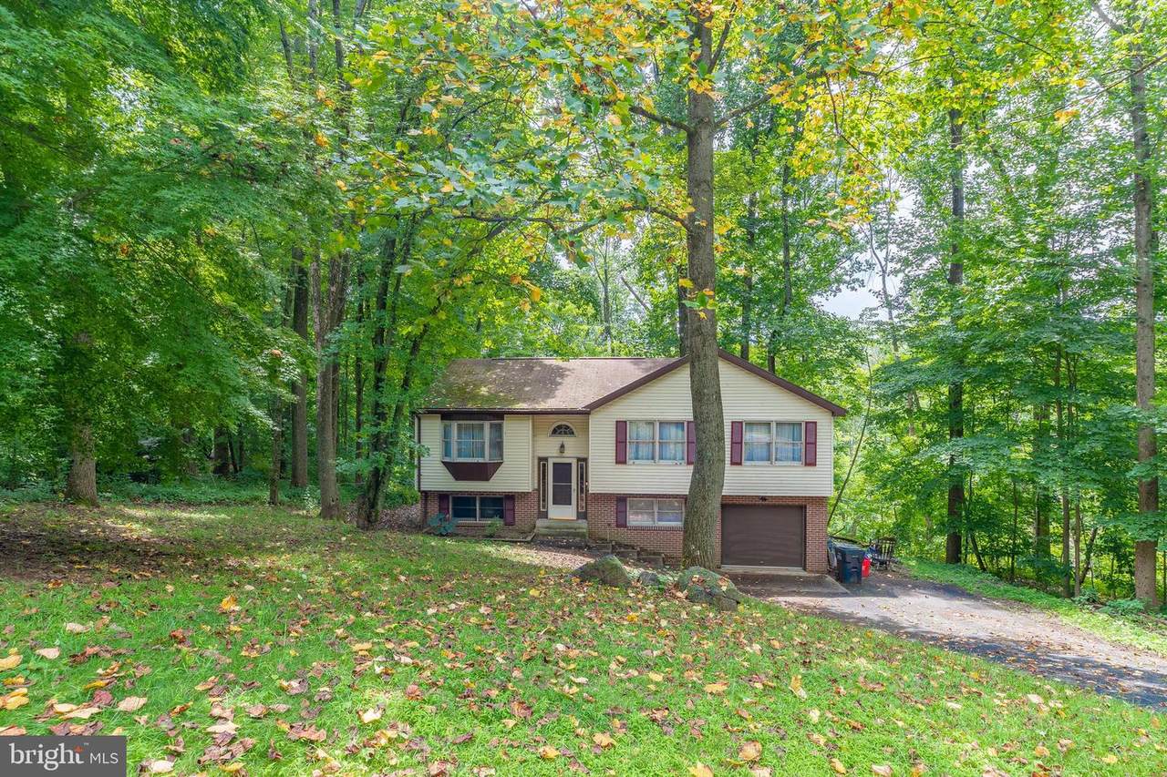 174 Maple Leaf Lane - Photo 1