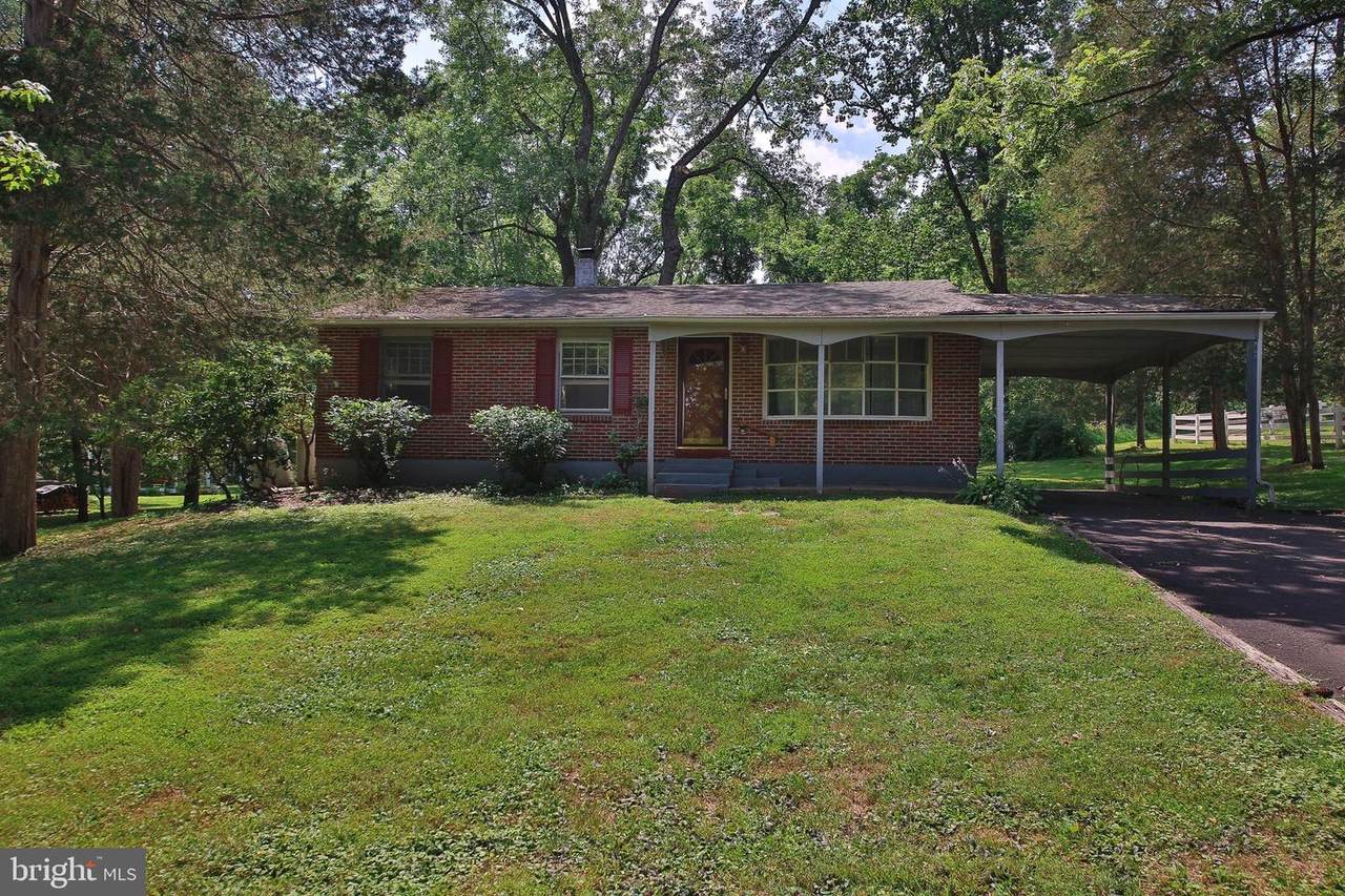 32 Walton Drive - Photo 1
