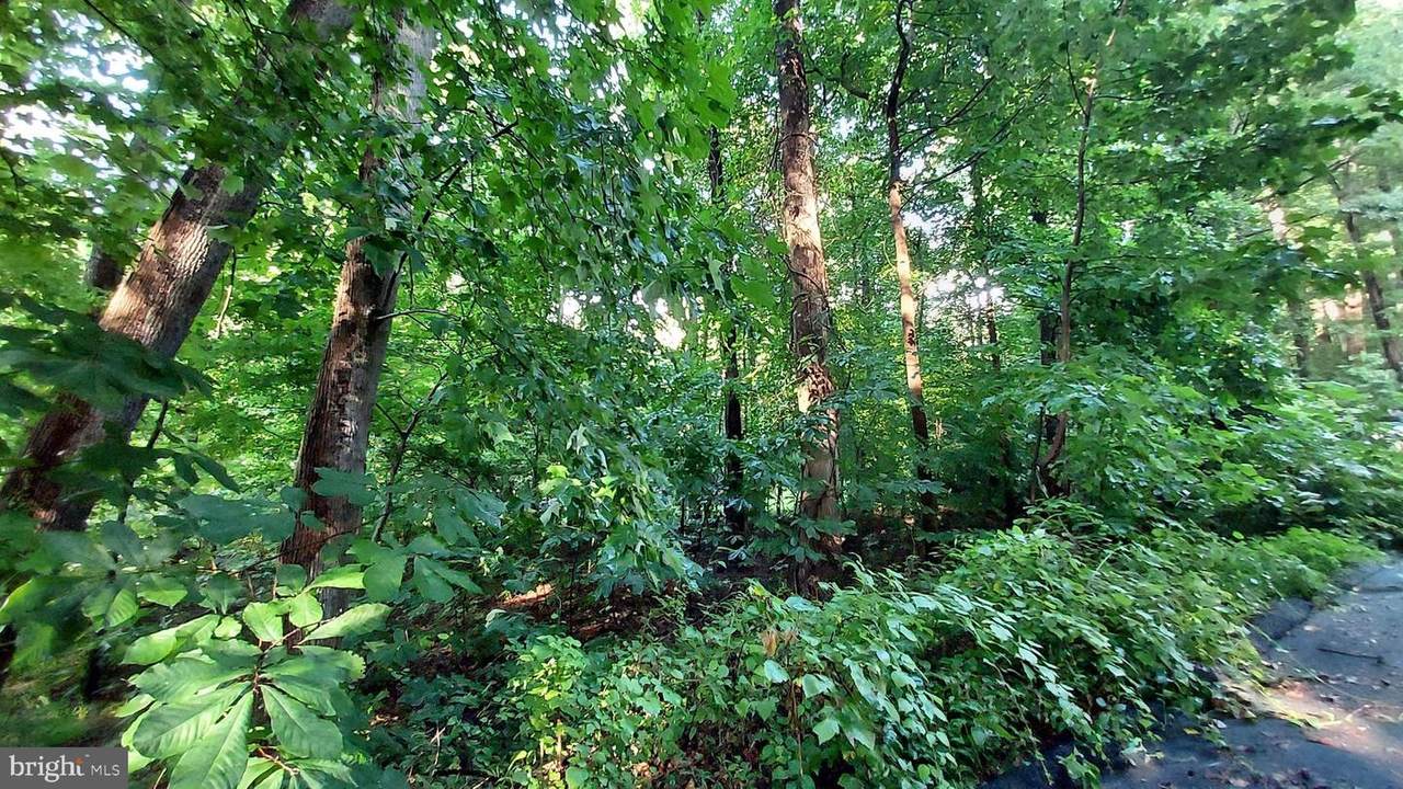 6060 Evergreen Road - Photo 1