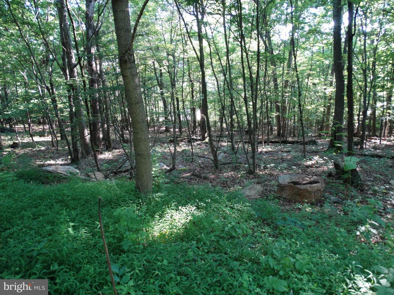 11430 National Pike - Photo 1