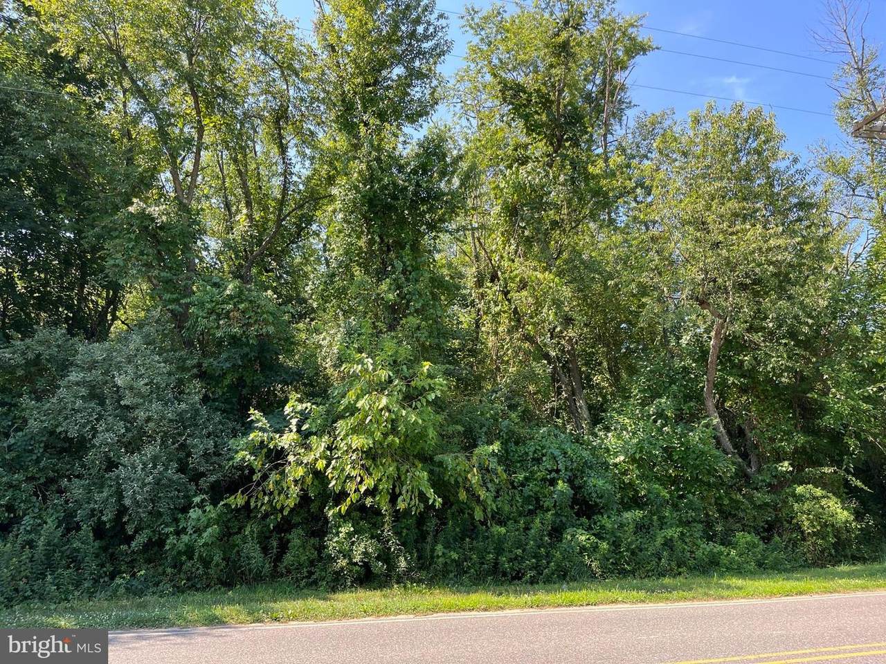 2315 Vine Road - Photo 1