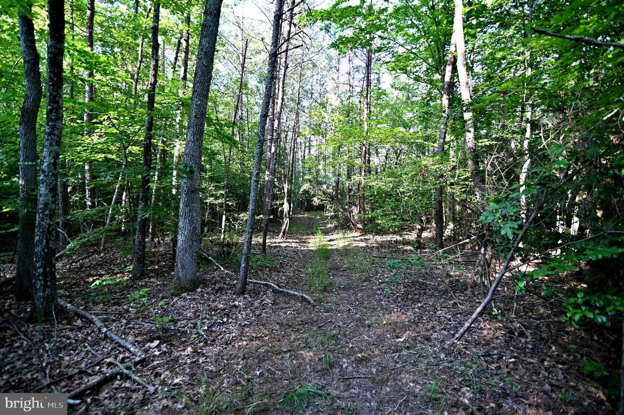 Gilroy Road - Photo 1