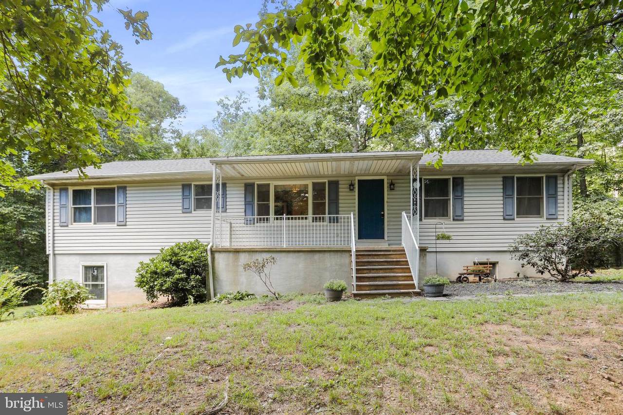 10204 Pine Tree Road - Photo 1