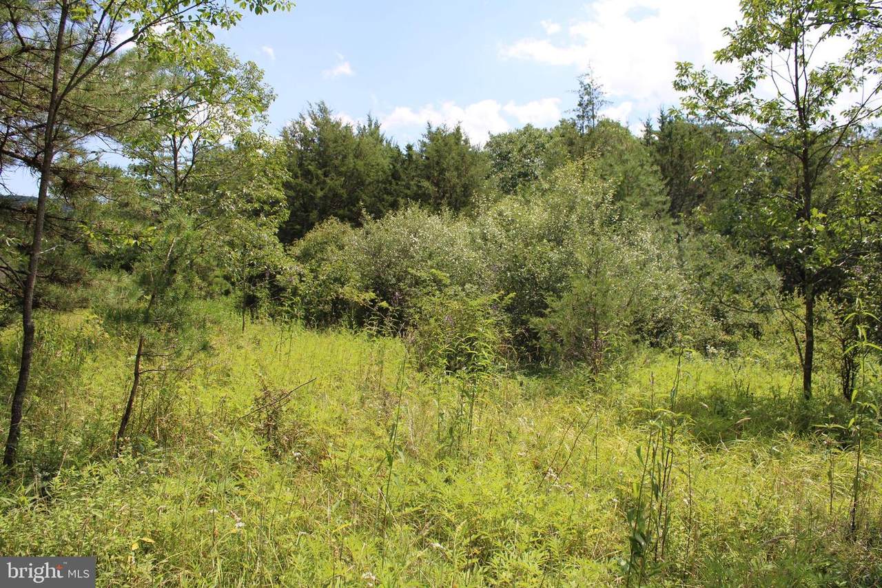 83.5 AC Dutch Hollow Ln - Photo 1