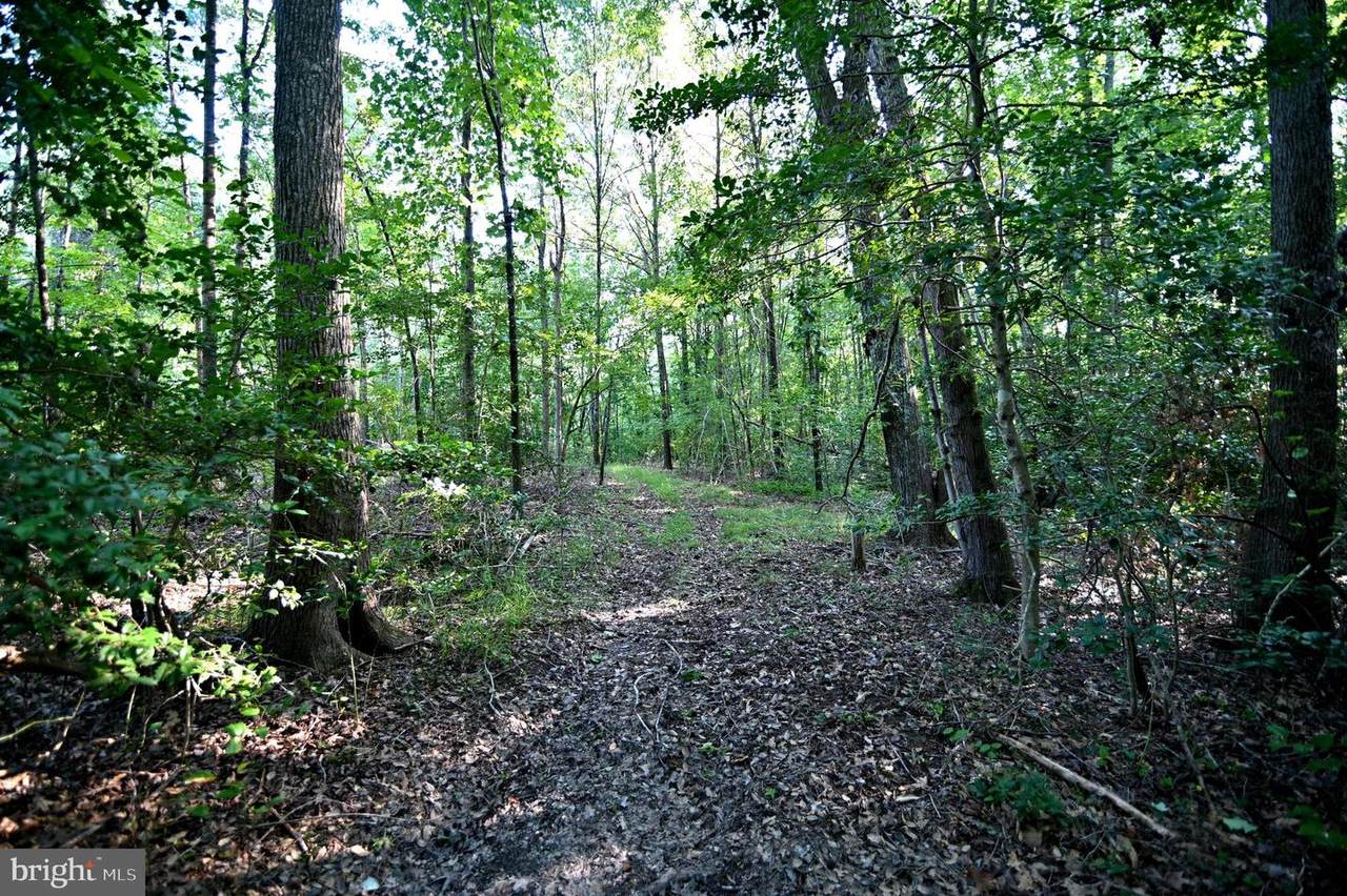 Gilroy Road - Photo 1