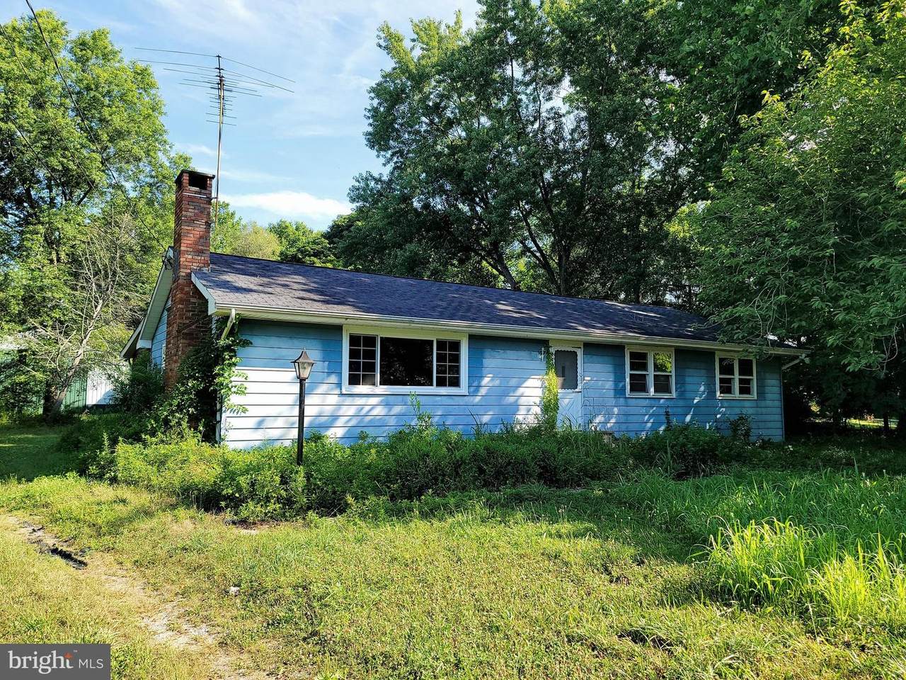 321 Dutch Row Road - Photo 1