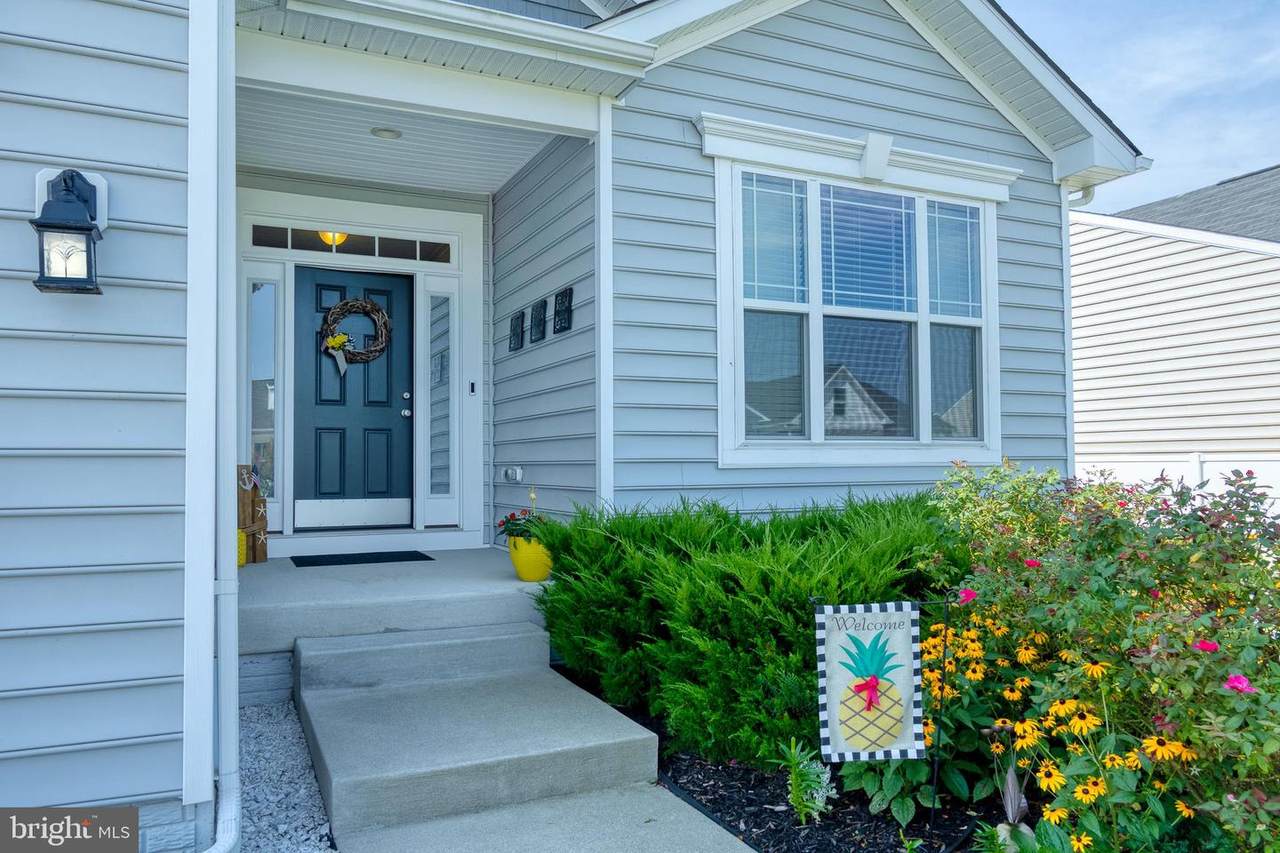 34142 Spring Brook Avenue - Photo 1