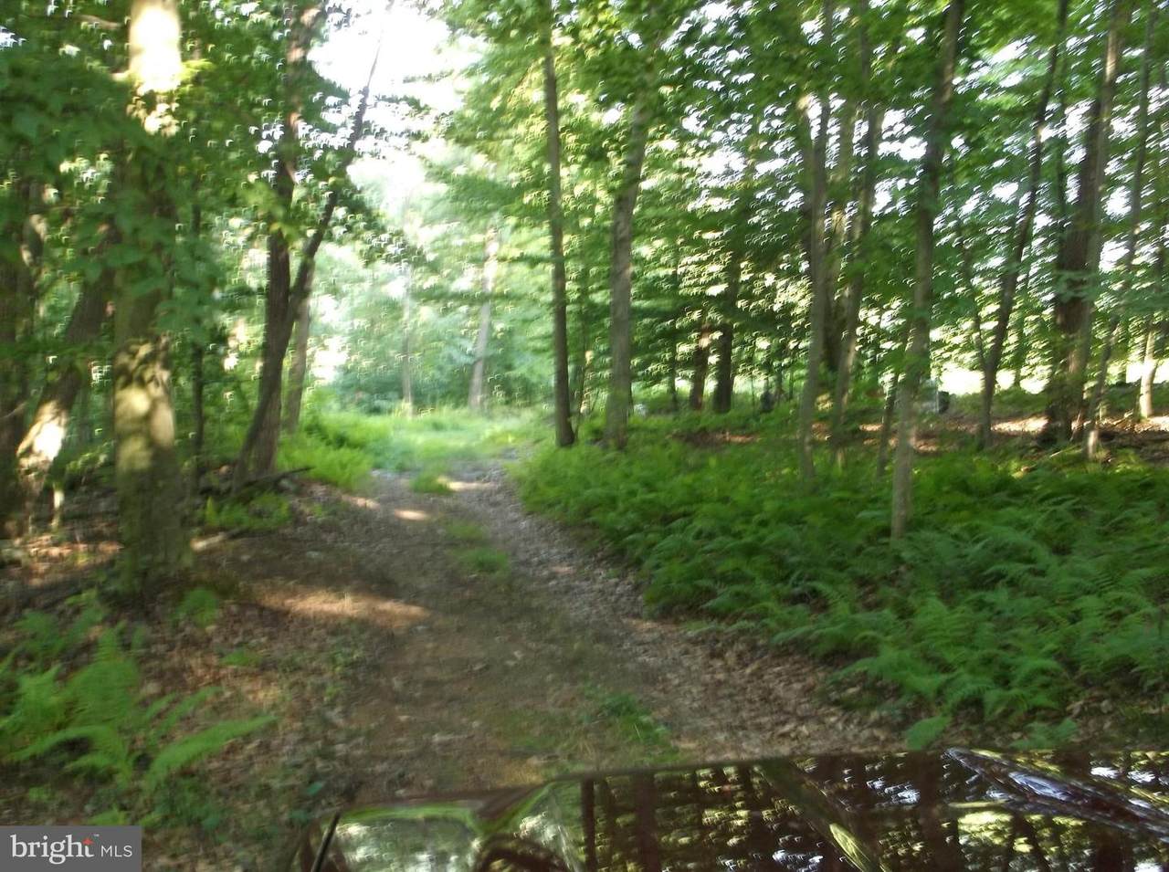 62 Hunters Lane - Photo 1