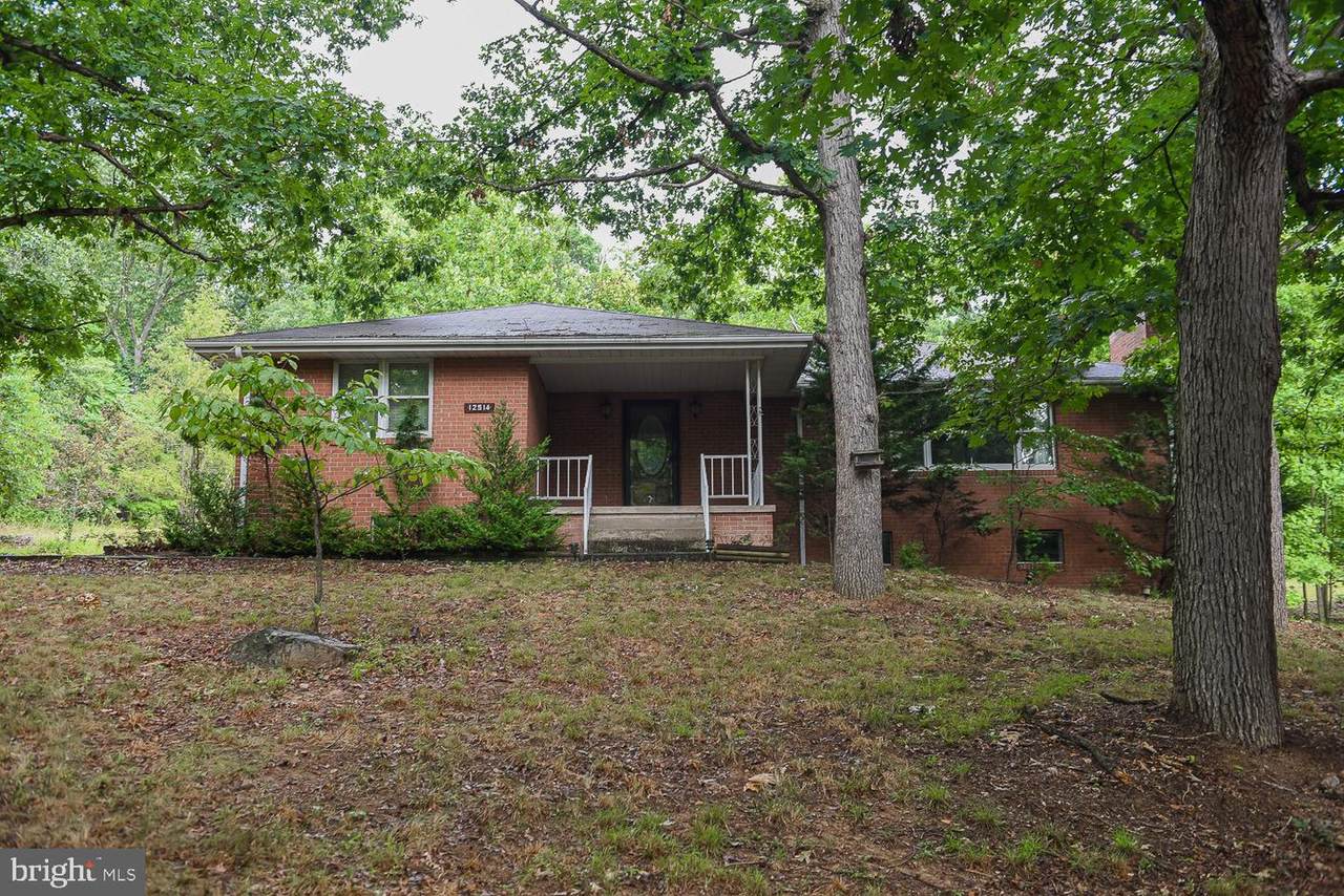 12514 Petes Drive - Photo 1