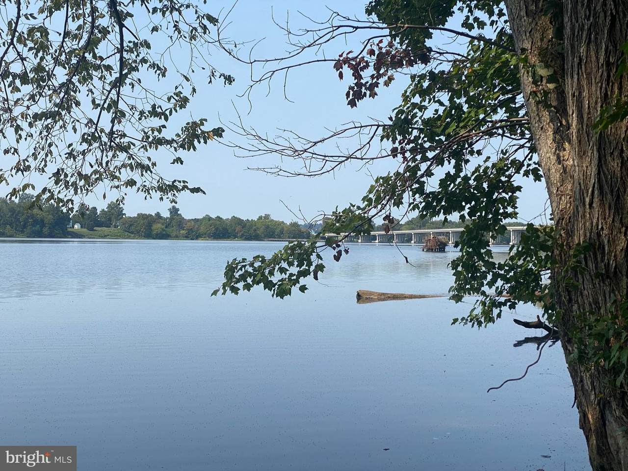 Cherwood Pond Lane - Photo 1