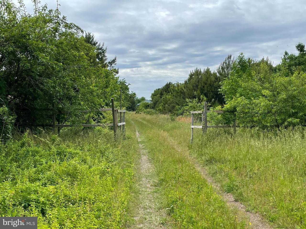 0 Nanticoke Road - Photo 1