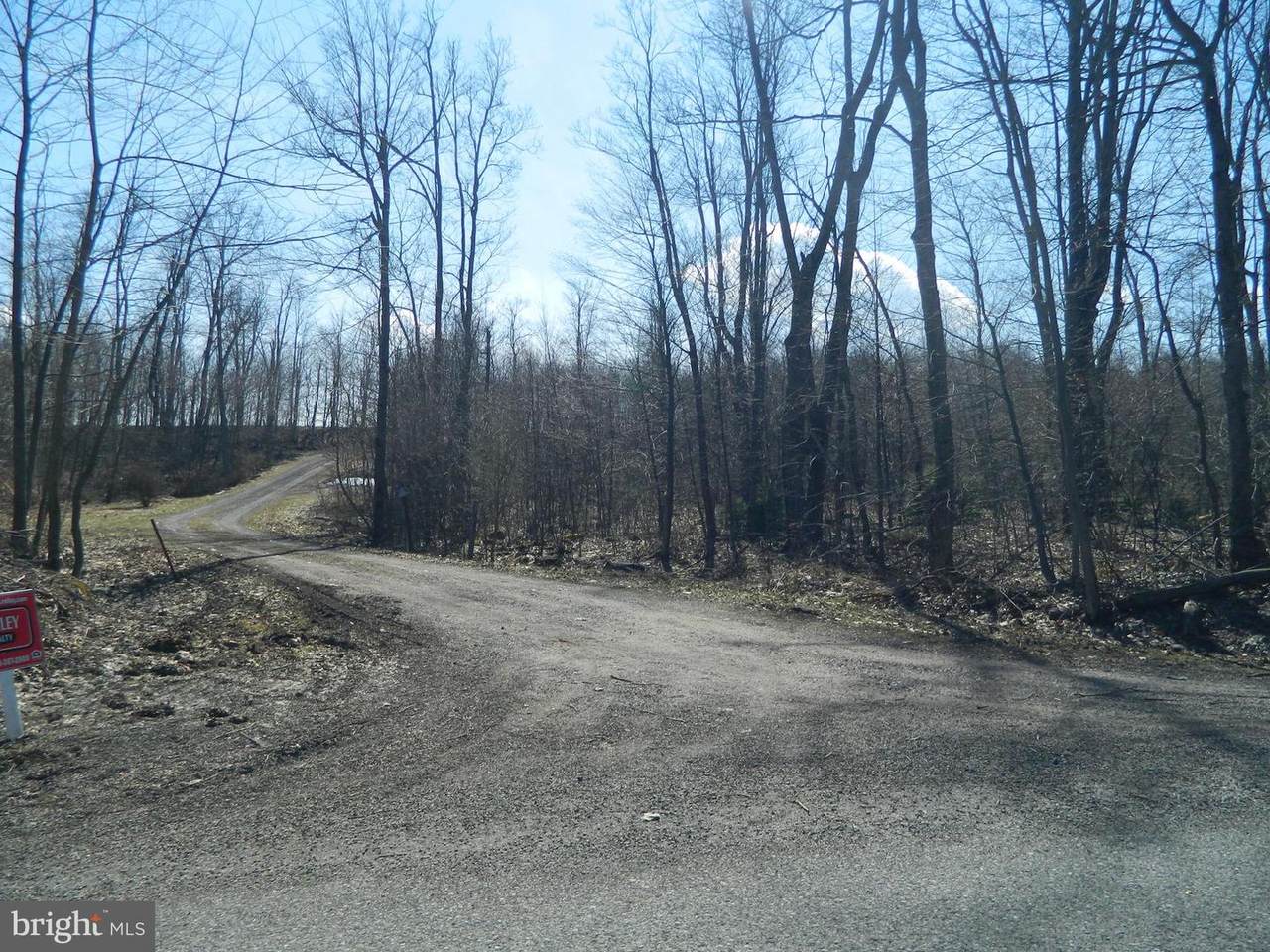 Negro Mountain Road - Photo 1