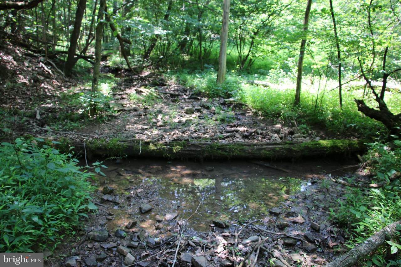 Deerhead Road - Photo 1