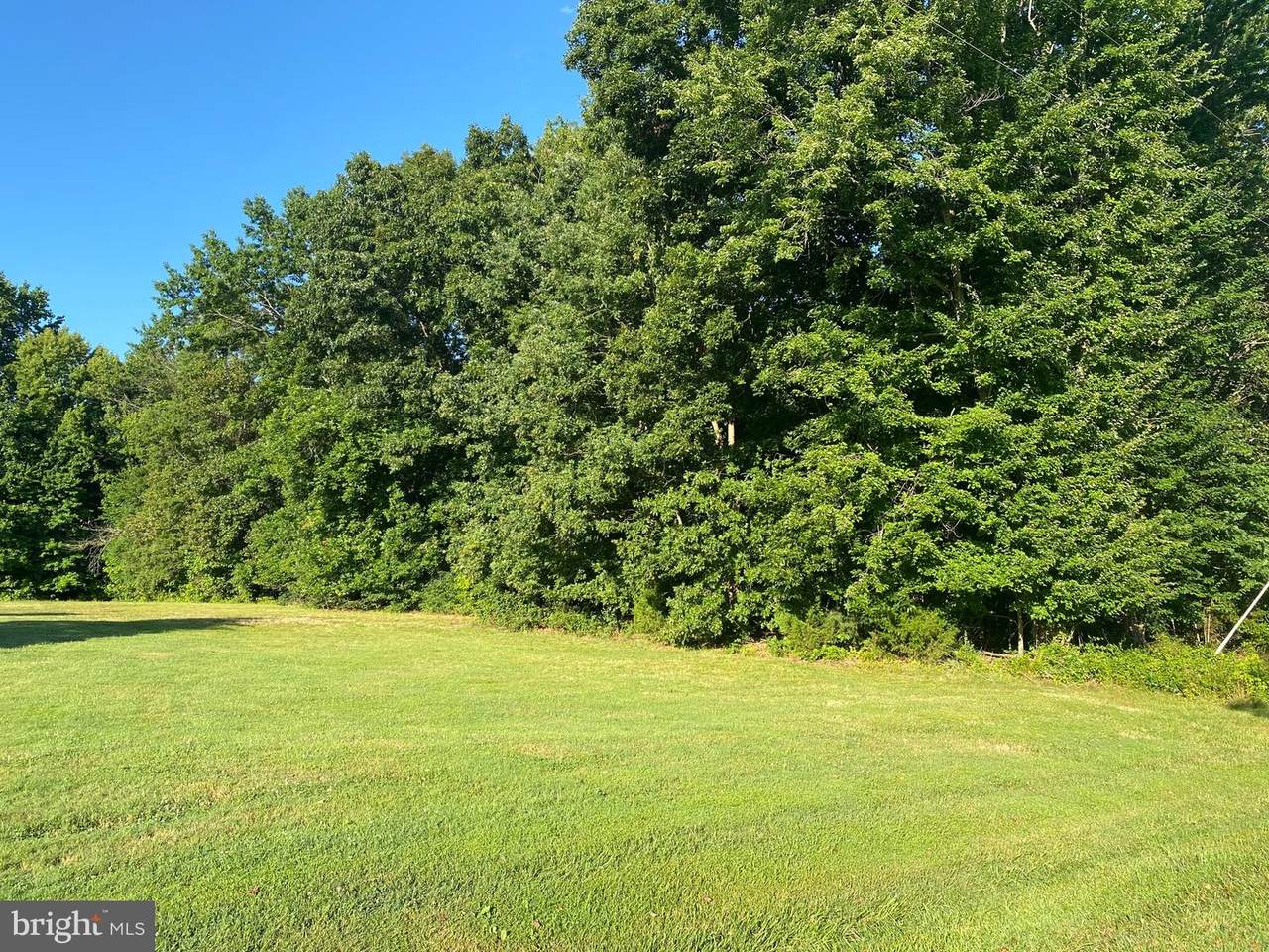 10801 Brock Road - Photo 1