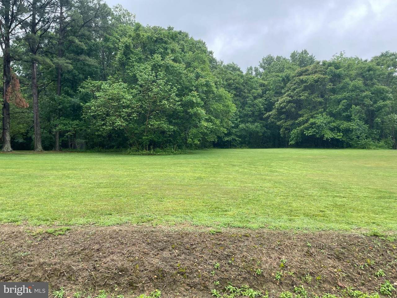 Colebrook Road Land - Photo 1