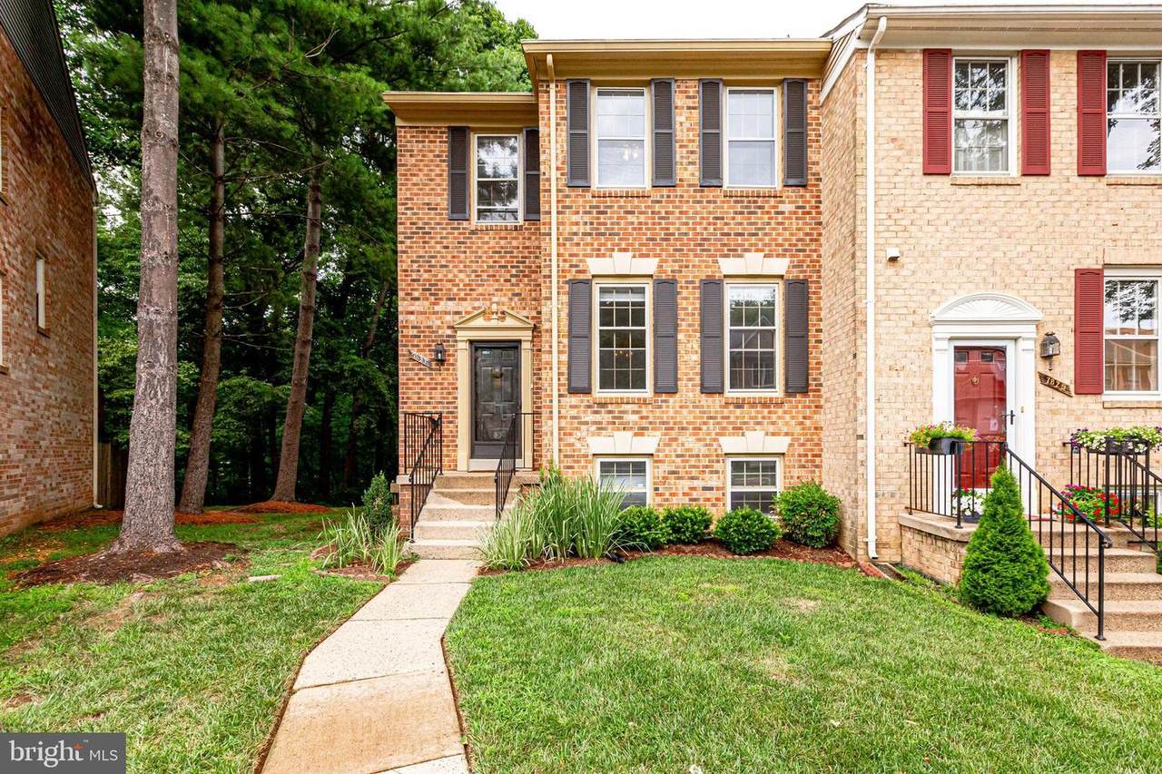 7831 Painted Daisy Drive - Photo 1