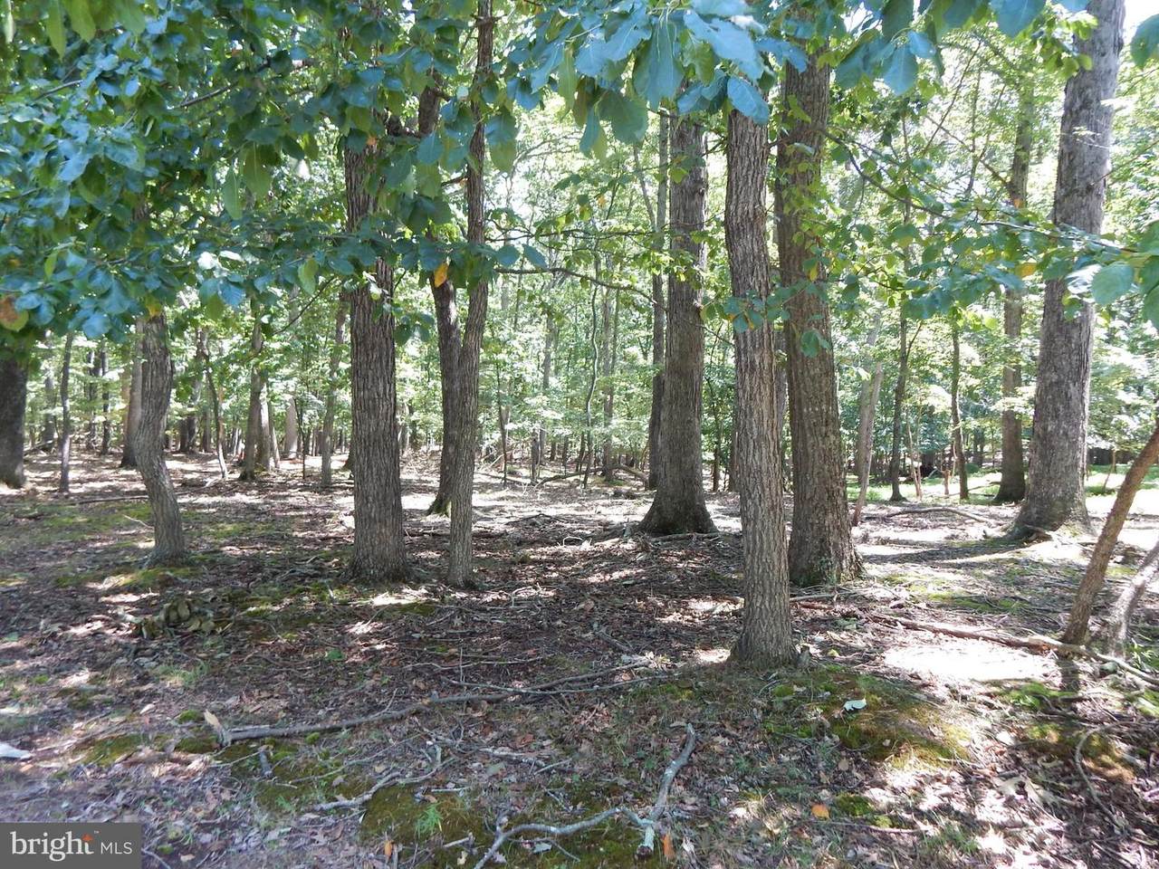 1417 Sideling Mountain Trail - Photo 1
