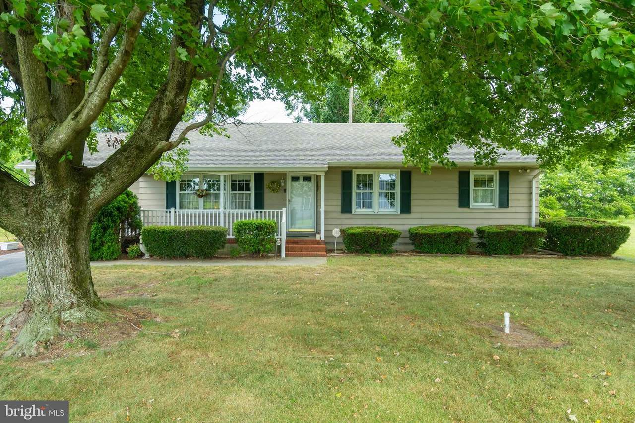 29158 Discount Land Road - Photo 1