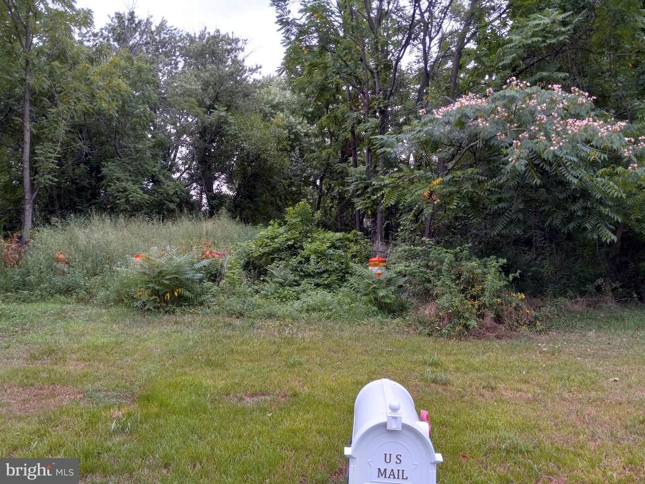 38 Clinton Street - Photo 1