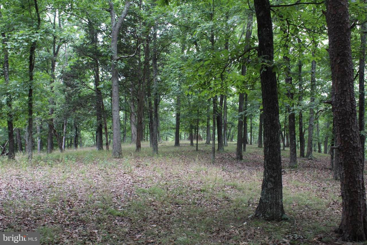 LOT 33 Whitetail Ridge - Photo 1