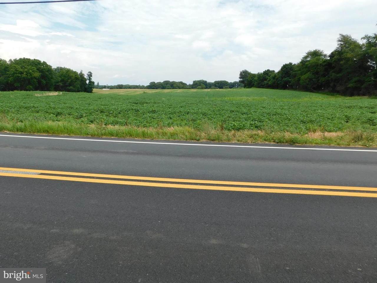 4427 Norrisville Road - Photo 1