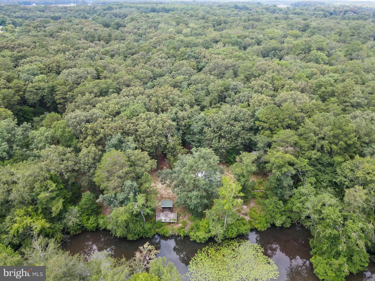 24453 German Road - Photo 1