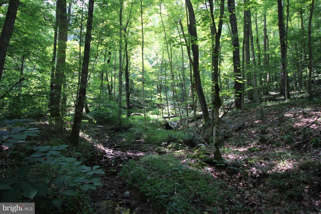 0 Flatwoods Run Road - Photo 1