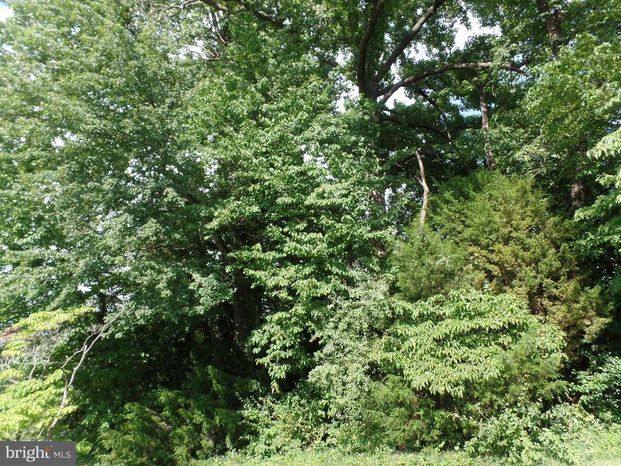 Maypole Road - Photo 1