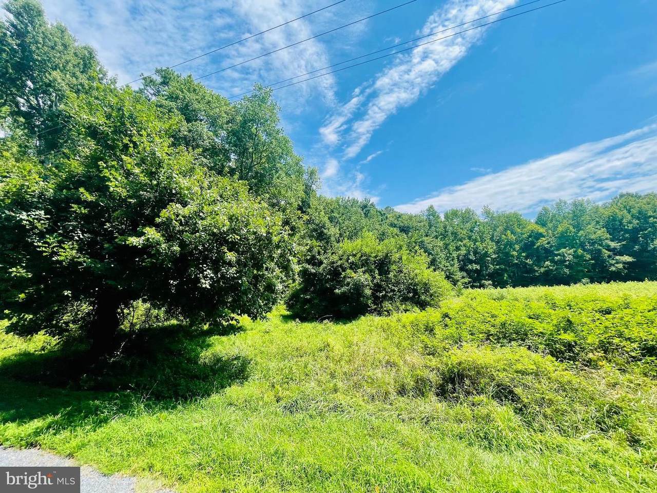 8645 Fontaine - Photo 1