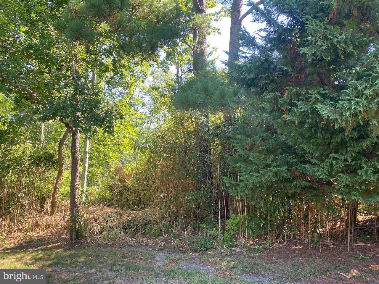 106 Munchy Court - Photo 1